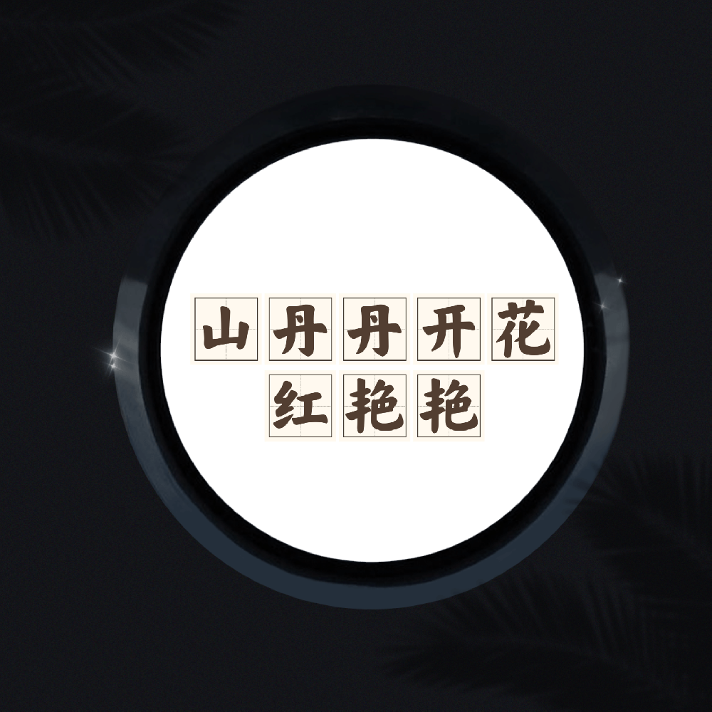 二胡重奏作品《山丹丹开花红艳艳》/Coming up......